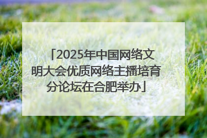 2025年中国网络文明大会优质网络主播培育分论坛在合肥举办
