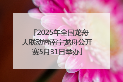 2025年全国龙舟大联动暨南宁龙舟公开赛5月31日举办