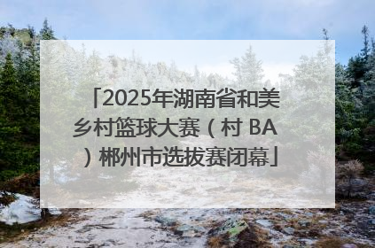 2025年湖南省和美乡村篮球大赛（村 BA）郴州市选拔赛闭幕