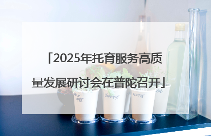 2025年托育服务高质量发展研讨会在普陀召开