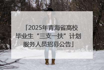 2025年青海省高校毕业生“三支一扶”计划服务人员招募公告
