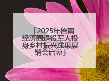 2025年鲁南经济圈退役军人投身乡村振兴成果展销会启幕