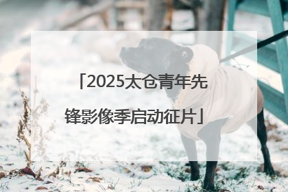 2025太仓青年先锋影像季启动征片