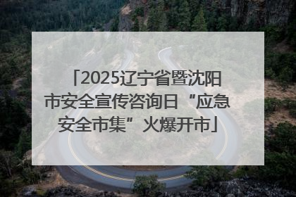 2025辽宁省暨沈阳市安全宣传咨询日“应急安全市集”火爆开市