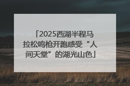 2025西湖半程马拉松鸣枪开跑感受“人间天堂”的湖光山色