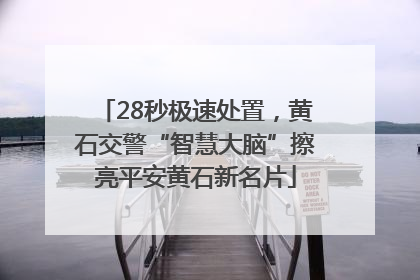 28秒极速处置，黄石交警“智慧大脑”擦亮平安黄石新名片