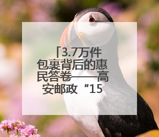 3.7万件包裹背后的惠民答卷——高安邮政“15分钟便民寄递圈”打通城乡服务末梢