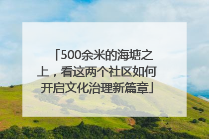 500余米的海塘之上，看这两个社区如何开启文化治理新篇章