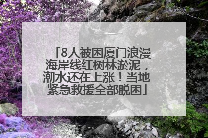 8人被困厦门浪漫海岸线红树林淤泥，潮水还在上涨！当地紧急救援全部脱困