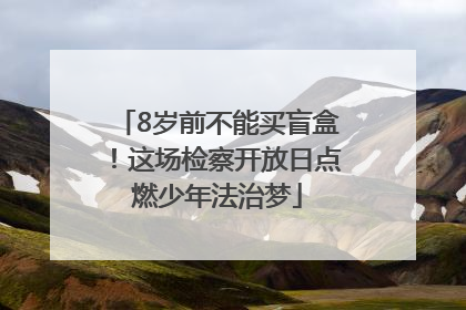 8岁前不能买盲盒！这场检察开放日点燃少年法治梦