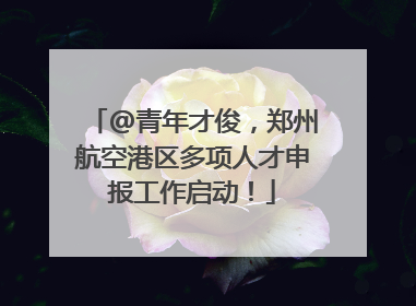 @青年才俊，郑州航空港区多项人才申报工作启动！