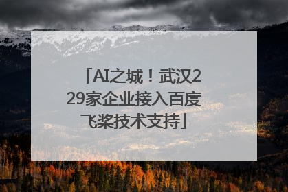 AI之城！武汉229家企业接入百度飞桨技术支持