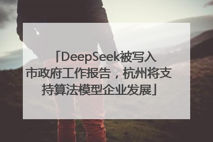 DeepSeek被写入市政府工作报告,杭州将支持算法模型企业发展