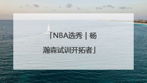 NBA选秀｜杨瀚森试训开拓者