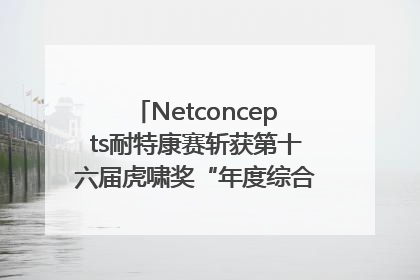 Netconcepts耐特康赛斩获第十六届虎啸奖“年度综合服务商”大奖
